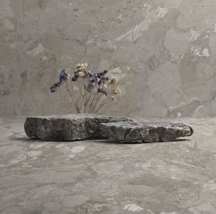 APAVISA - ASHEN_TAUPE_CONCEPTUAL